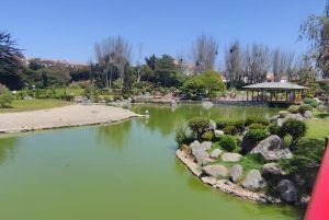Jardin Japones La Serena
